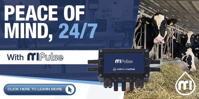 0198MR MIPulse Launch Website Banner Vis 5